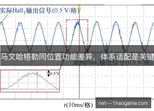 马文哈格勒同位置功能差异，体系适配是关键